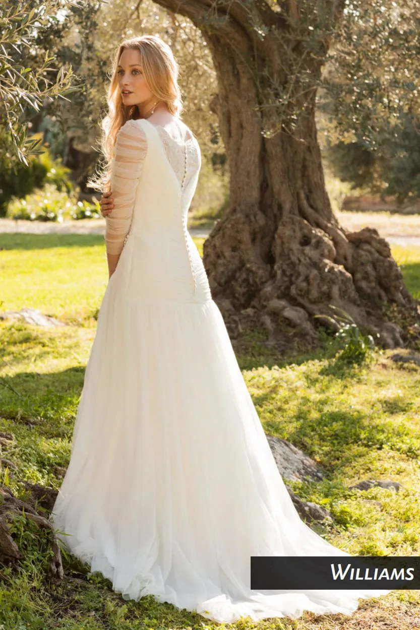 Williams — изображение 2